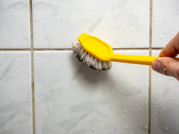 Home Mold Removal in Bon Secour, AL