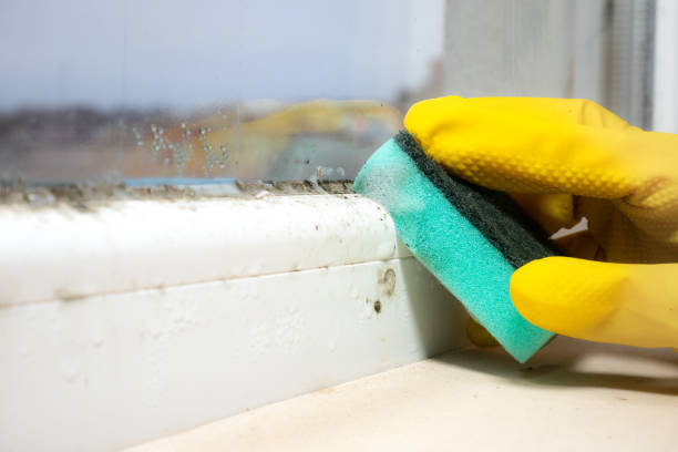 Best Residential Mold Removal  in Bon Secour, AL