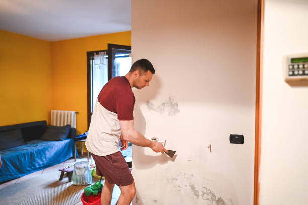 Trusted Bon Secour, AL Mold Removal Experts