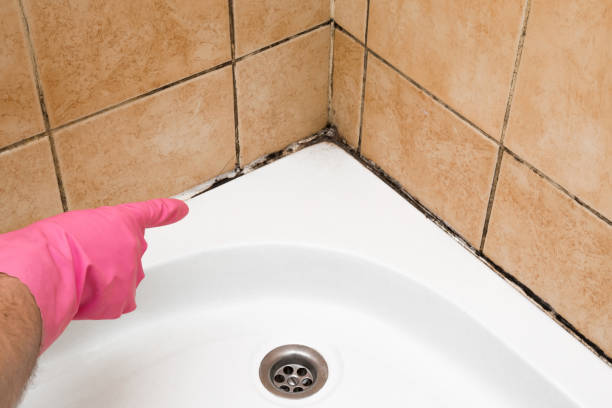 Best Mold Testing  in Bon Secour, AL